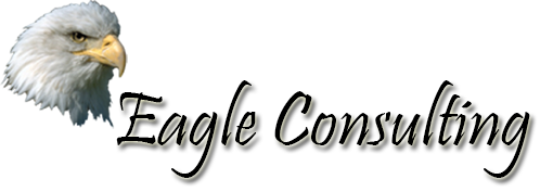 Eagle Consulting LLC Logo